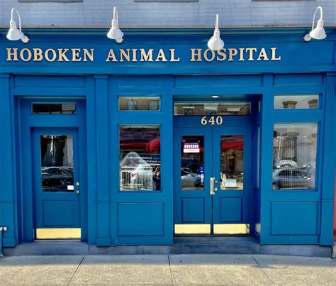 hoboken animal hospital collections.